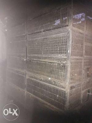 African low birds cage sale good condition flying cage