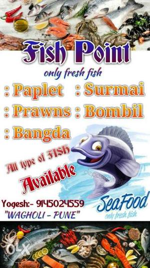 All type of Fresh Fish available here