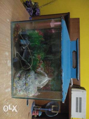 An absolutely good condition aquarium with two