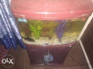 Aquarium for sale in in good condition at devli