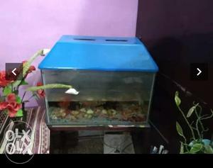 Aquarium for sale with iron stand n blue top