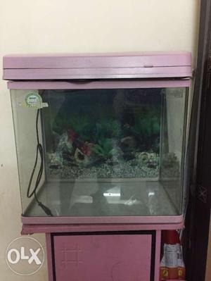Aquarium tanks and accessories