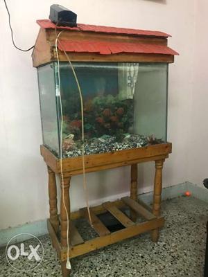 Aquarium with Stand, motor, stones
