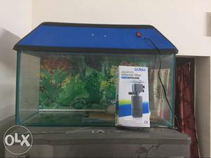 Aquarium with new sobo internal filter with blue