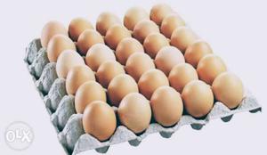 Brown egg 100 egg = 800 Rs.