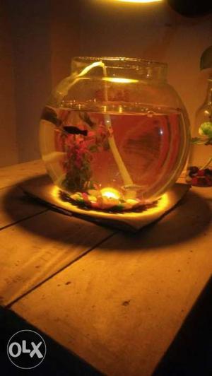 Fish aquarium big bowl with oxygenpump food 5