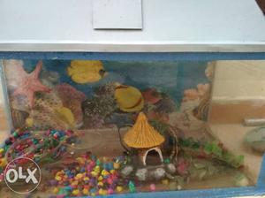 Fish aquarium for sale 24cm×12cm