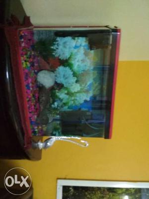 Fish aquarium only 6 months old good condition