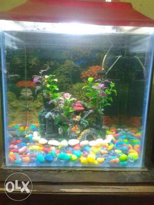 Fish tank 1*1*1 vry good condition with all