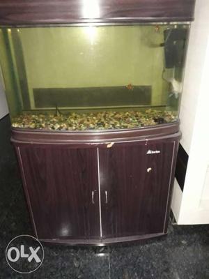 Fish tank 2.5 fit with tabal 1year old