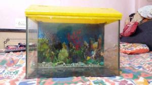 Fish tank A fish tank with lid, tubelight and