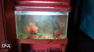 Fish tank, motor, light, with stand.