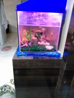 Fish tank only 20 days used message for price