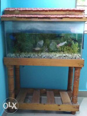 Fish tank with stand, aerator and pebbles.