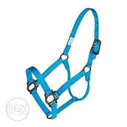 Horse halter,bits,saddle pads,bandages and all