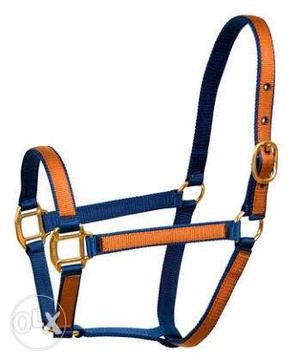 Horse halter,saddle,bridle etc all available