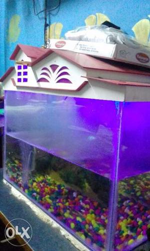 I want to sale my fish tank with 2shark'1tank