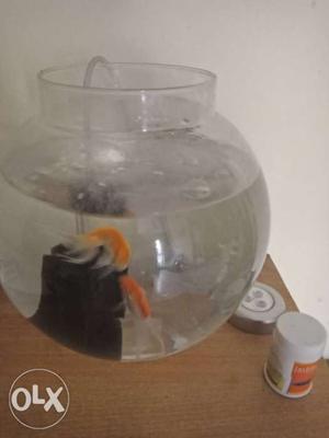 Kids Fish tank with 2 small Fish