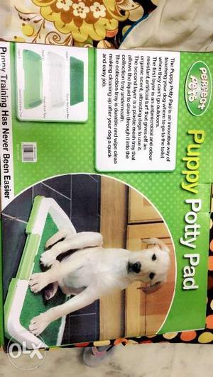 Puppy potty training pad is the new way to teach
