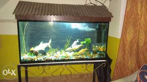 Rectangular Black Framed Fish Tank.