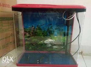 Sobo fish aquarium with all accessories like