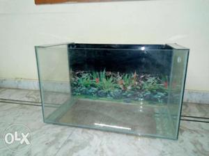 Strong Aquarium worth of  with stones and