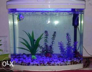  inci aquarium with all accessories and