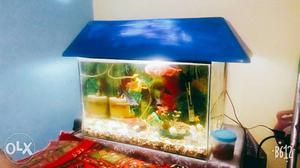 2fit Aguarium With All Accesories Heater Fishes