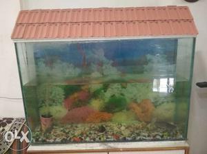 Big size fish tank.No crack no damage.36 cm. x 30
