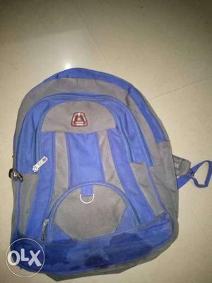 Blue And Gray Chicco Backpack