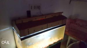 Fish tank with shark fishes (5 grey sharks and 1