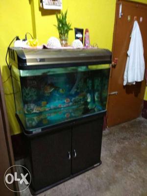 Sobo 80B molded aquarium with stand for sell