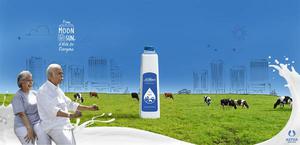 Cow Milk in Ghodasar Milkmor Ahmedabad