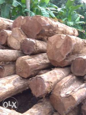 Nilambur teak wood .37
