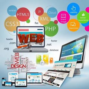 Web Design and Development Company in India