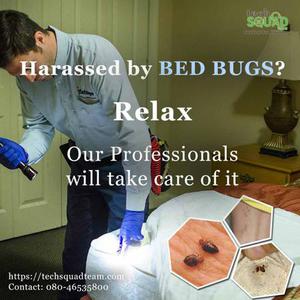 Get Flat 20% Off on Bed Bug Pest Control Services Bangalore