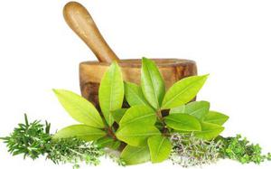 Ayurveda Natural Extract Manufacturer Center in India -