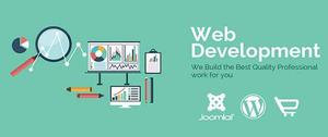 Website Development Company in Delhi NCR