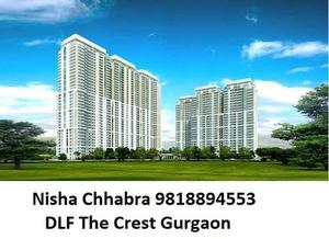 Nisha 98l8894553 DLF Crest Gurgaon Rent Rentals