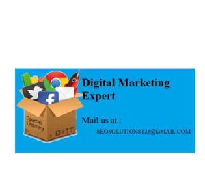 Be A Digital Marketing Expert