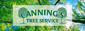 Tree Service in South Jersey