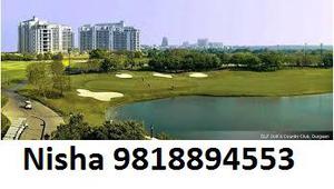 Nisha98l8894553 DLF Crest Price DLF The Crest Gurgaon Flats
