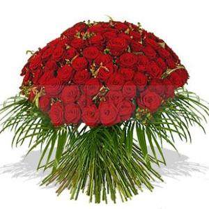 Send Roses | Buy Roses Online | Roses Online Delivery