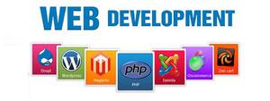 ecommerce website development company in delhi