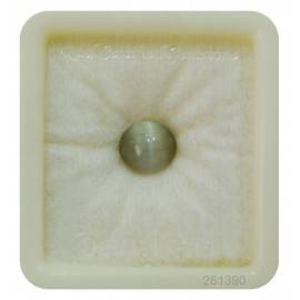 Natural Cats Eye Fine 3+ 1.9ct