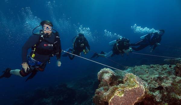 karnataka dive - karnataka wreck and scuba diving