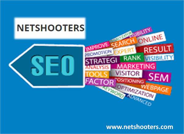 Netshooters Seo Company in Chandigarh