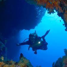 Scuba karnataka - get your incredible diving experience
