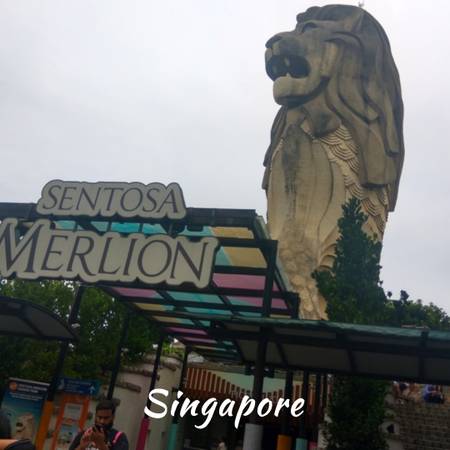 Best Affordable Packages to Singapore from India