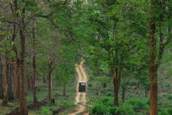 Coorg Package - Coorg Tour Packages | Coorg Tourism